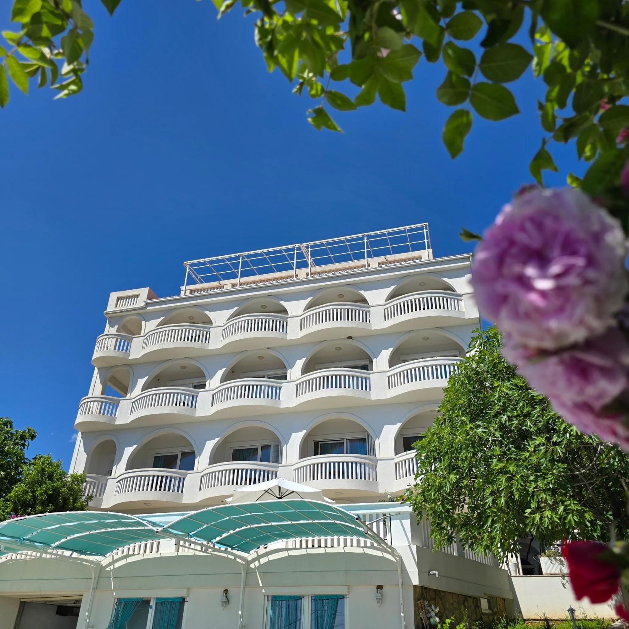 Villa Bellevue نوفي فينودولسكي المظهر الخارجي الصورة